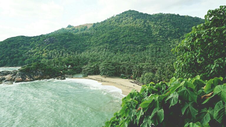 Fotografía de Koh Tao - Guía de viaje 2026