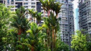 ¿Dónde dormir en Kuala Lumpur?