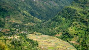 ¿Dónde dormir en Nuwara Eliya?