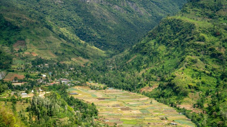 Fotografía de ¿Dónde dormir en Nuwara Eliya? - Guía de viaje 2026