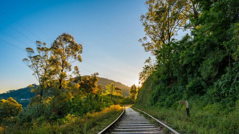 Fotografía de ¿Dónde dormir en Udawalawe? - Guía de viaje 2026