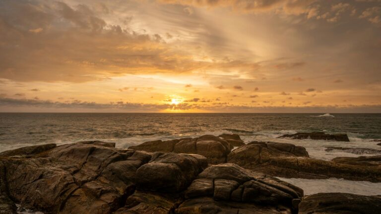 Fotografía de ¿Dónde ver ballenas en Sri Lanka? - Guía de viaje 2026