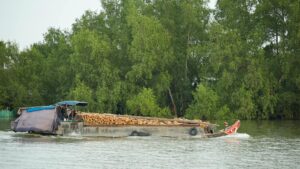 Mekong Delta (Tour 2 días 1 noche)