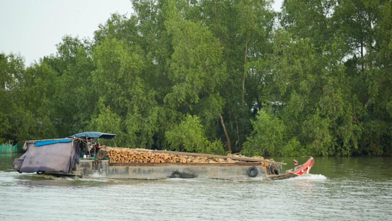 Fotografía de Mekong Delta (Tour 2 días 1 noche) - Guía de viaje 2026