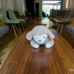 ¿Dónde dormir en Miyajima?