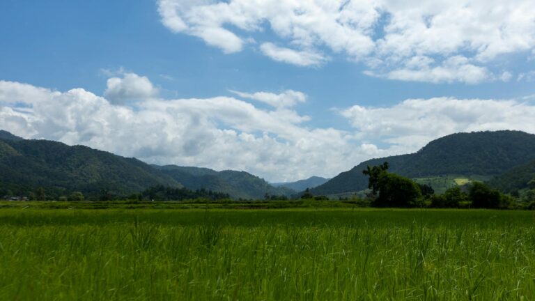 Fotografía de Pai - Guía de viaje 2026