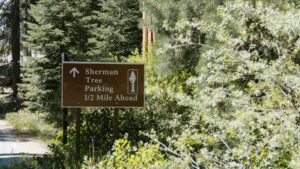 General Sherman