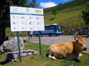 Top 10 lugares que ver en Asturias