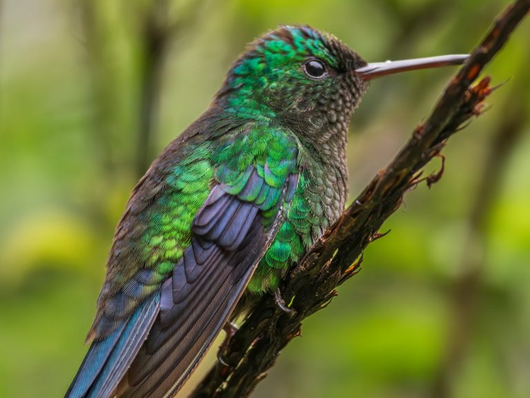 Fotografía de Cali - Guía de viaje 2026
