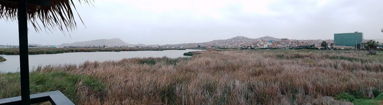 Fotografía de Delta del Ebro - Guía de viaje 2026