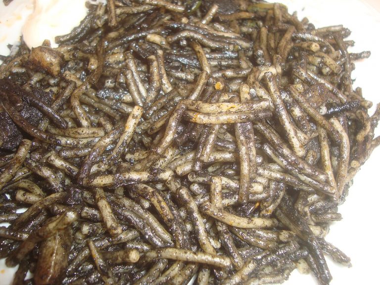 Fotografía de Denia - Guía de viaje 2026