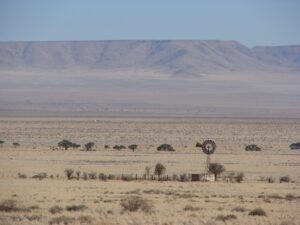 Etosha
