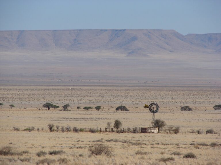 Fotografía de Etosha - Guía de viaje 2026