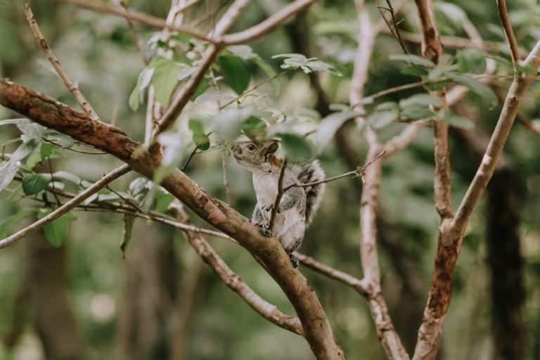 Fotografía de Guadalajara - Guía de viaje 2026