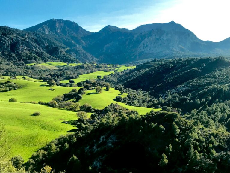 Fotografía de Hayedo de Montejo - Guía de viaje 2026