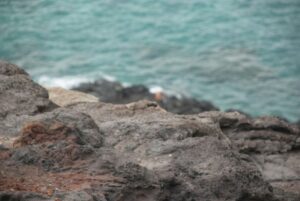 Honolulu