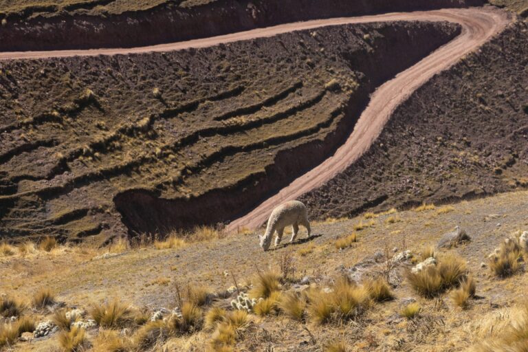 Fotografía de Huacachina - Guía de viaje 2026