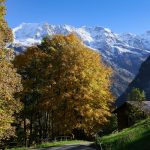 Parque Nacional Suizo