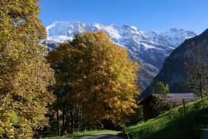 Parque Nacional Suizo