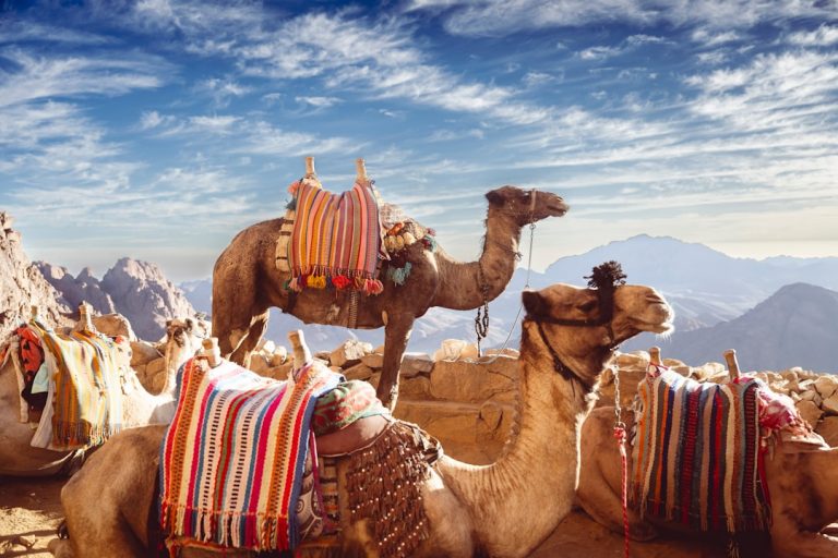 Fotografía de Setti Fatma - Guía de viaje 2026