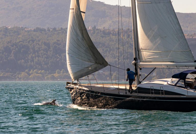 Fotografía de Setúbal y Troia - Guía de viaje 2026