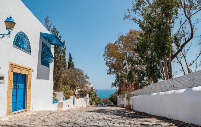 Fotografía de Sidi Bou Said - Guía de viaje 2026