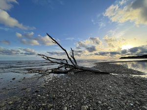 Consejos para viajar a Sitges