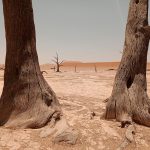 Sossusvlei