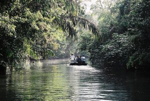 Top 10 lugares que ver en Tortuguero