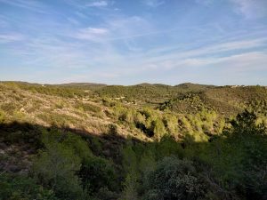 Top 10 alojamientos donde dormir en Vic