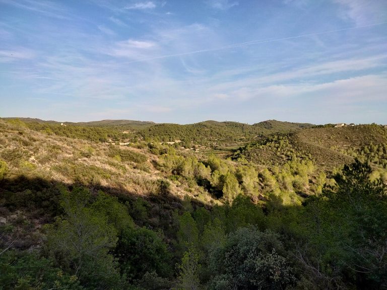 Fotografía de Vic - Guía de viaje 2026