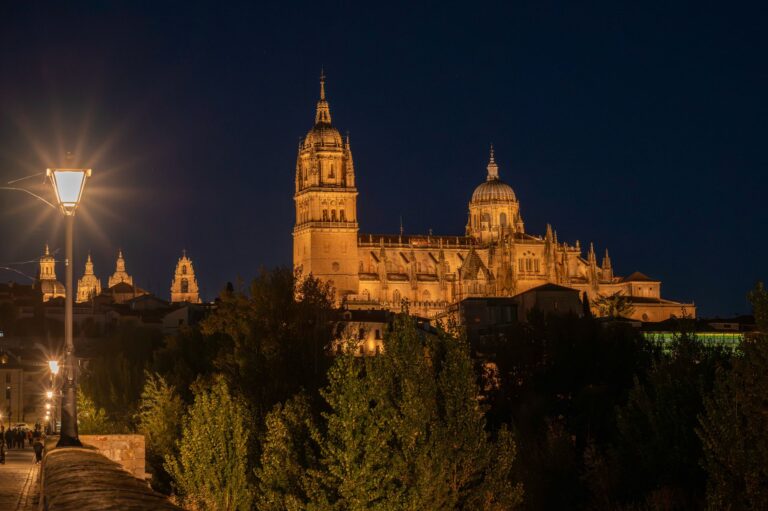 Catedrales de Salamanca iluminadas de noche desde el Puente Romano