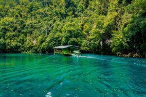 Qué ver en Bohol: Guía completa 2026
