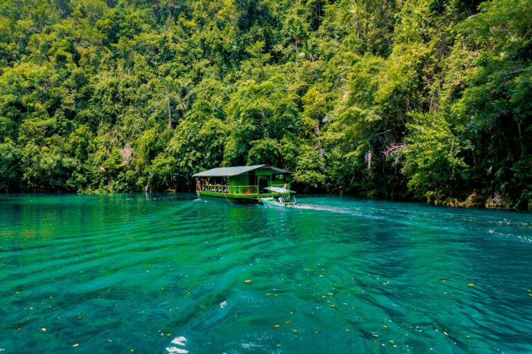 Fotografía de Bohol - Guía de viaje 2026