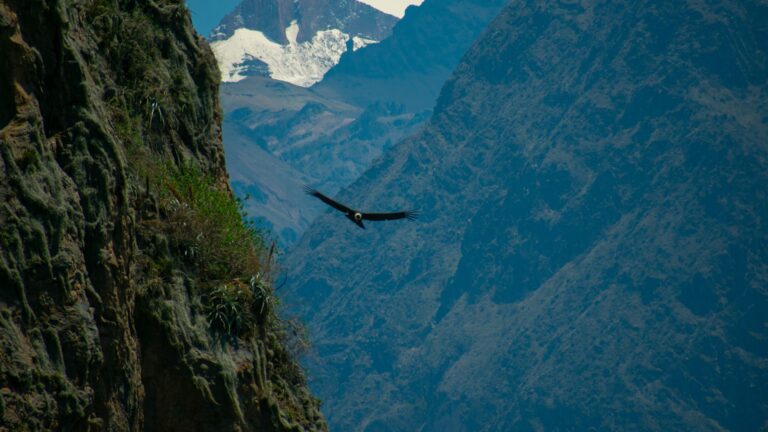 Fotografía de Cañón del Colca - Guía de viaje 2026