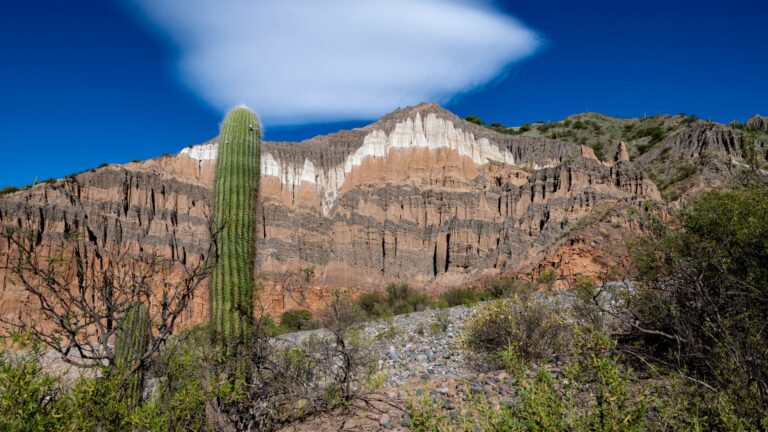 Fotografía de Desierto de la Tatacoa - Guía de viaje 2026