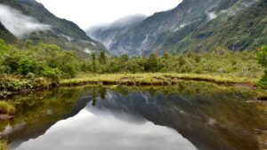 Qué ver en Franz Josef