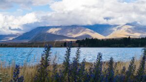 Qué ver en Lago Tekapo: Guía completa 2026