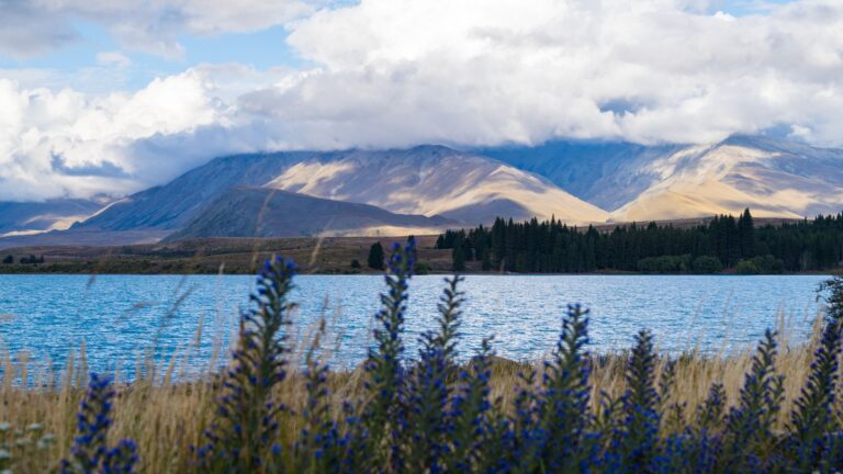 Fotografía de Lago Tekapo - Guía de viaje 2026