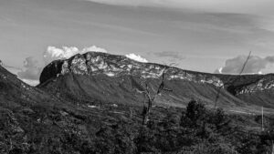 Guía completa para viajar al Pantanal