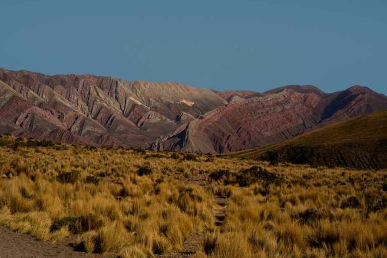 Fotografía de Península Valdés - Guía de viaje 2026