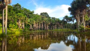Qué ver en Puerto Maldonado: guía completa 2026