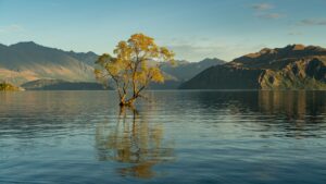 Qué ver en Wanaka: guía completa 2026