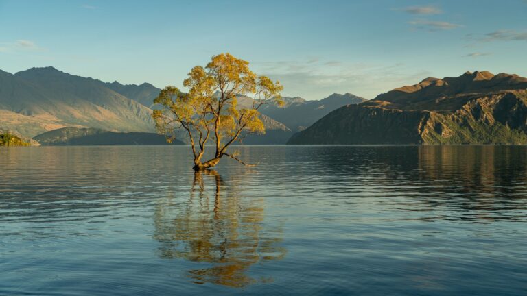 Fotografía de Wanaka - Guía de viaje 2026