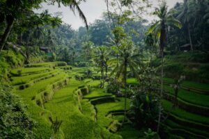 Qué ver y hacer en Amed, Bali