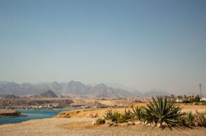cuanto cuesta viajar egipto ruta presupuesto