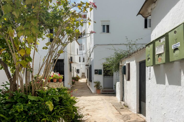 Fotografía de Cádiz a Vejer de la Frontera - Guía de viaje 2026
