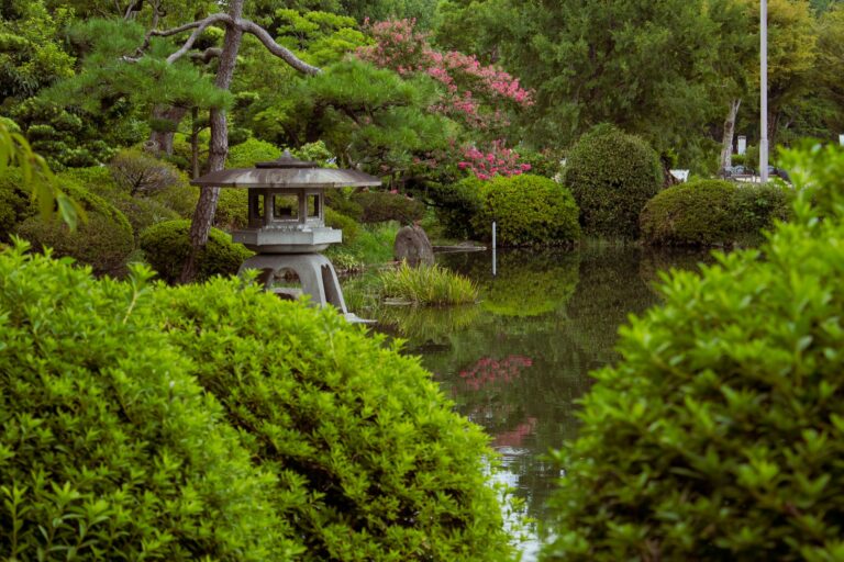 Fotografía de Hiroshima a Osaka - Guía de viaje 2026
